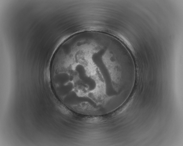 X0000113300891200909281102