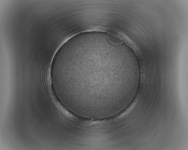 X0000113300892200909281102