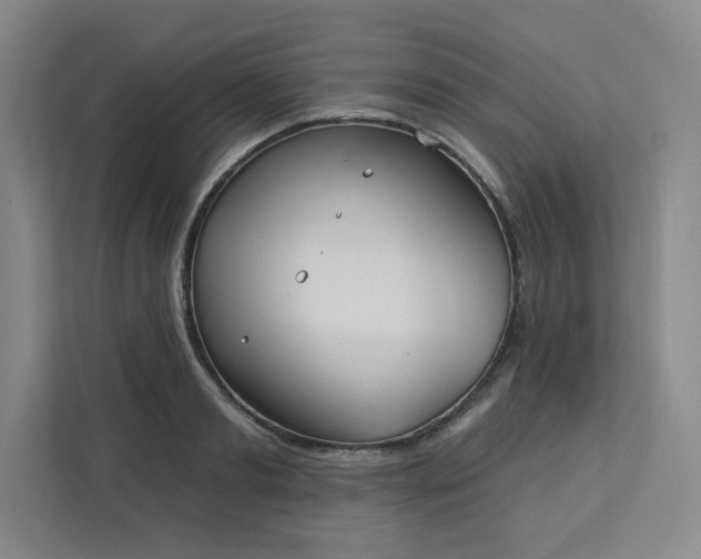 X0000113300893200909281102