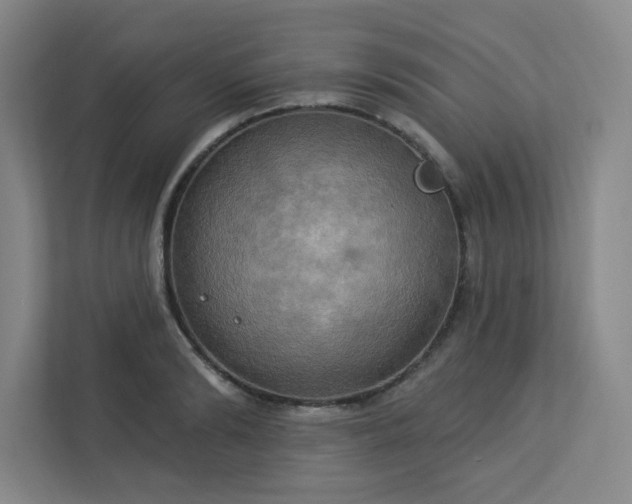 X0000113300894200909281102