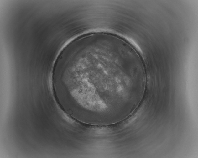 X0000113300895200909281102