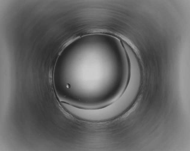 X0000113300897200909281102