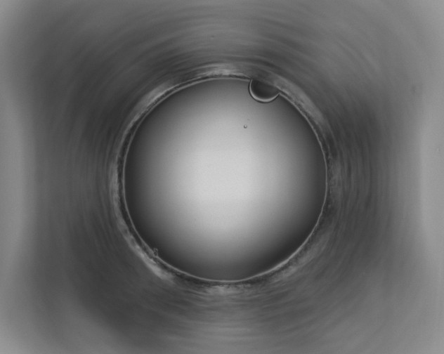 X0000113300898200909281102