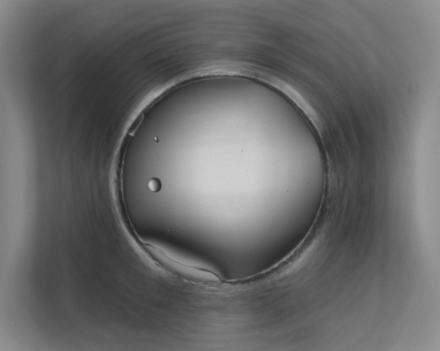 X0000113300901200909281102