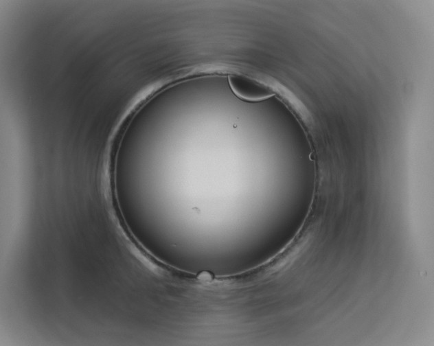 X0000113300902200909281102