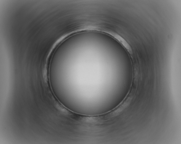 X0000113300904200909281102