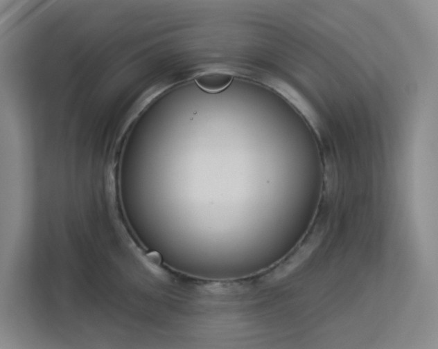 X0000113300906200909281102