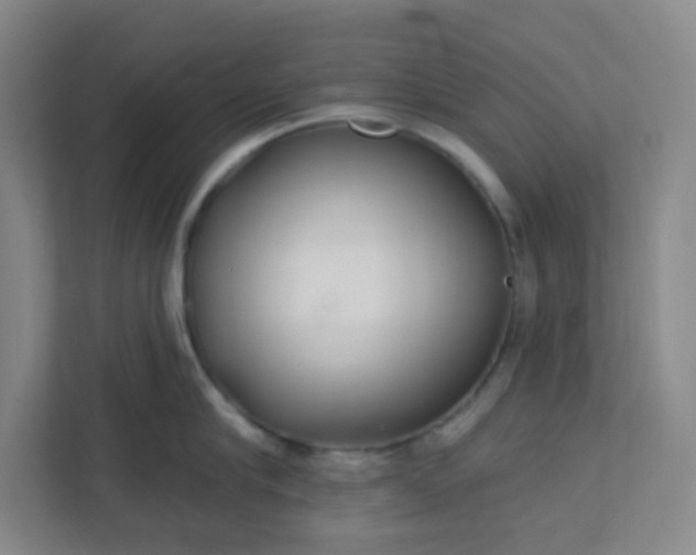 X0000113300910200909281102