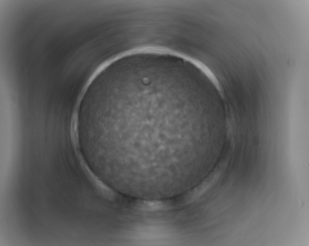 X0000113300911200909281102