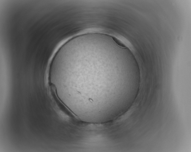 X0000113300912200909281102