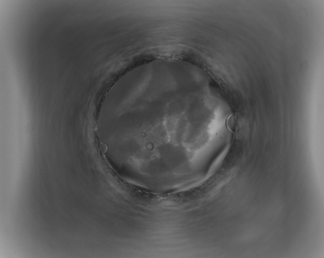 X0000113300913200909281101