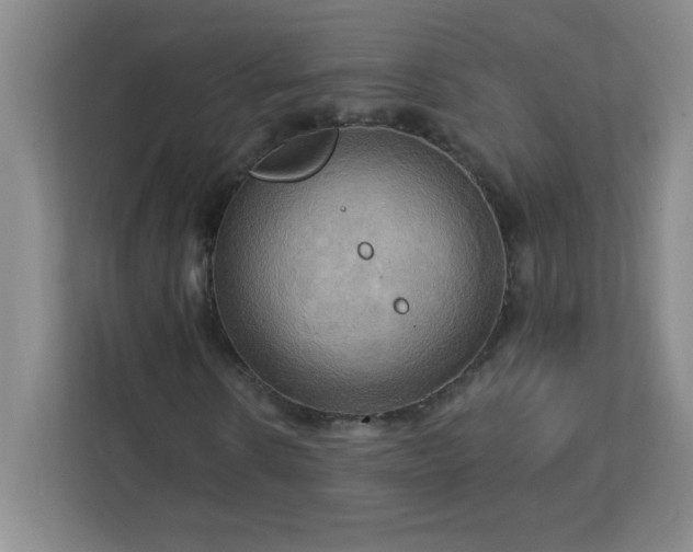 X0000113300914200909281101