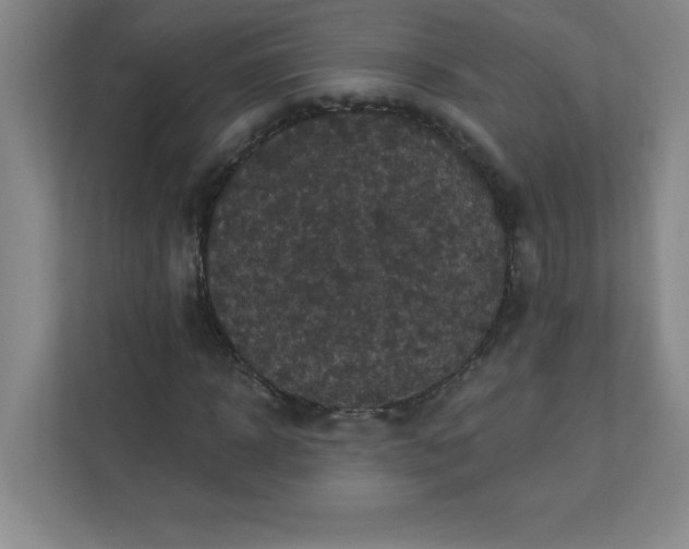 X0000113300918200909281101