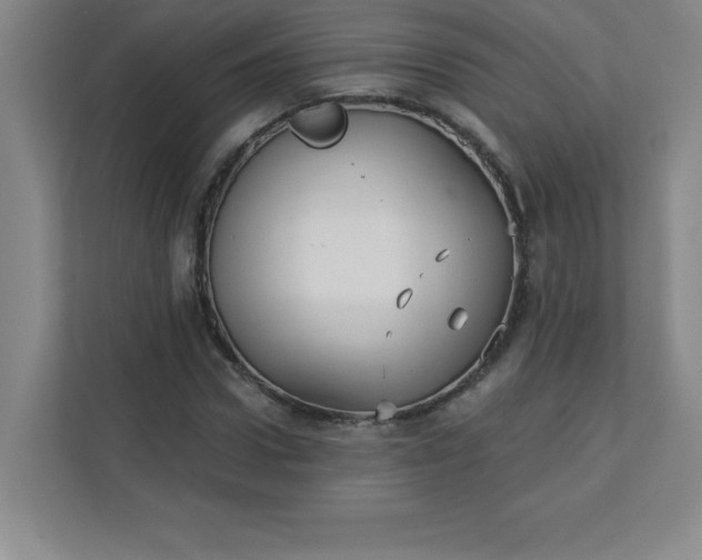 X0000113300922200909281101