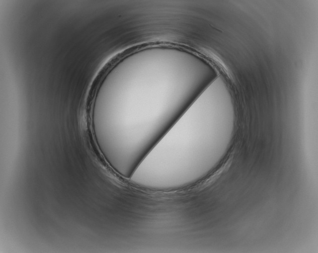 X0000113300924200909281101