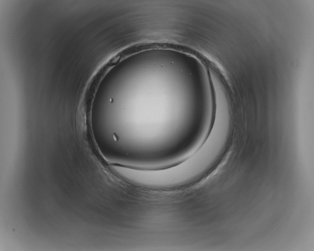 X0000113300925200909281101