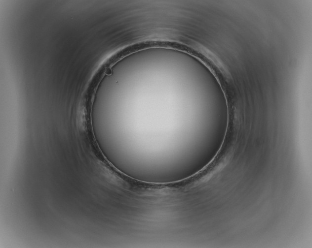 X0000113300926200909281101