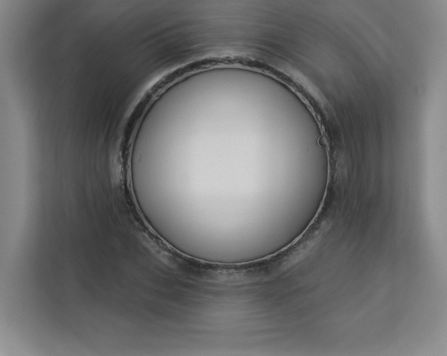 X0000113300927200909281101