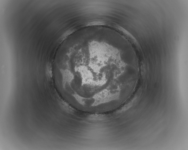 X0000113300929200909281101