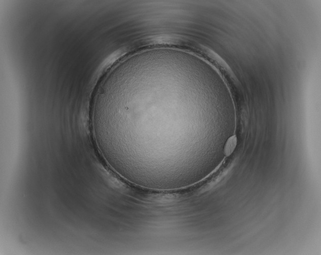 X0000113300930200909281101