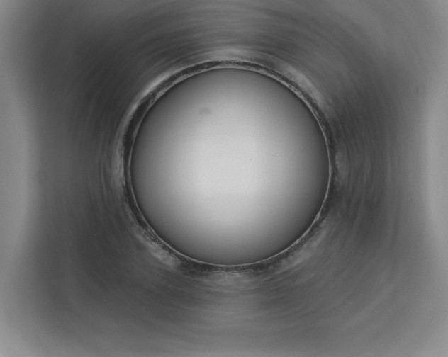 X0000113300931200909281101