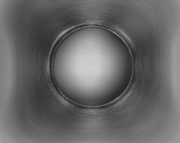 X0000113300932200909281101