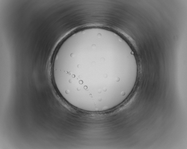 X0000113300933200909281101