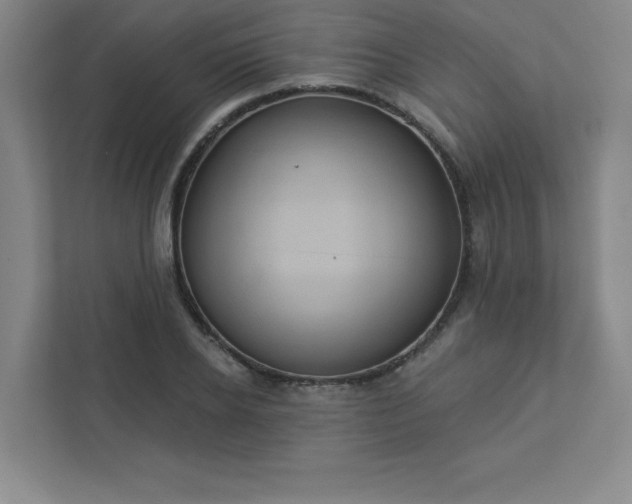 X0000113300934200909281101