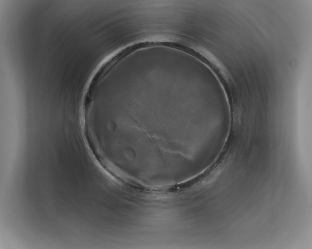 X0000113300935200909281101