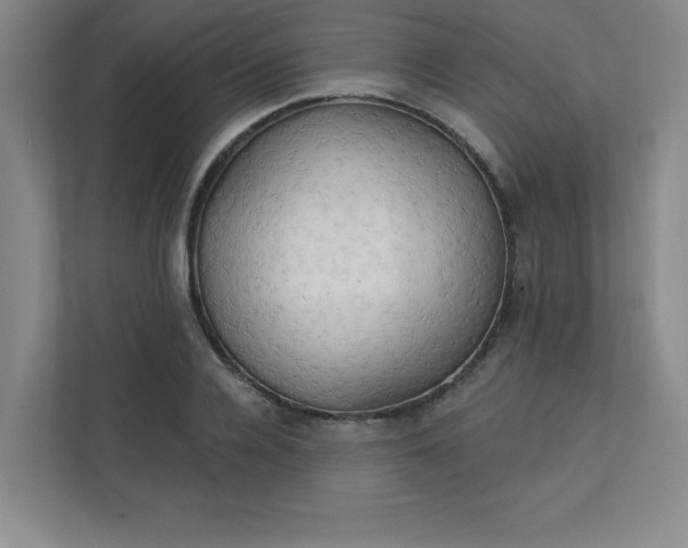 X0000113300936200909281101