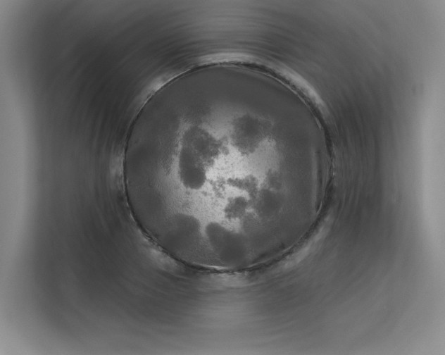 X0000113300937200909281101