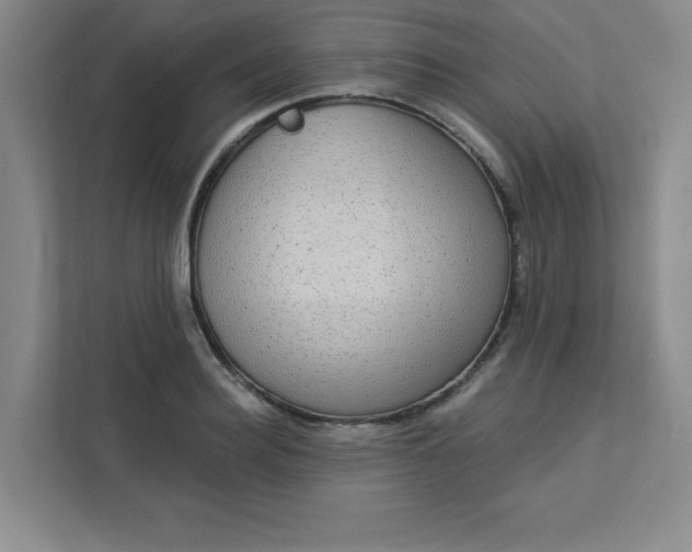 X0000113300940200909281101