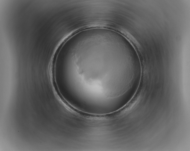 X0000113300941200909281101