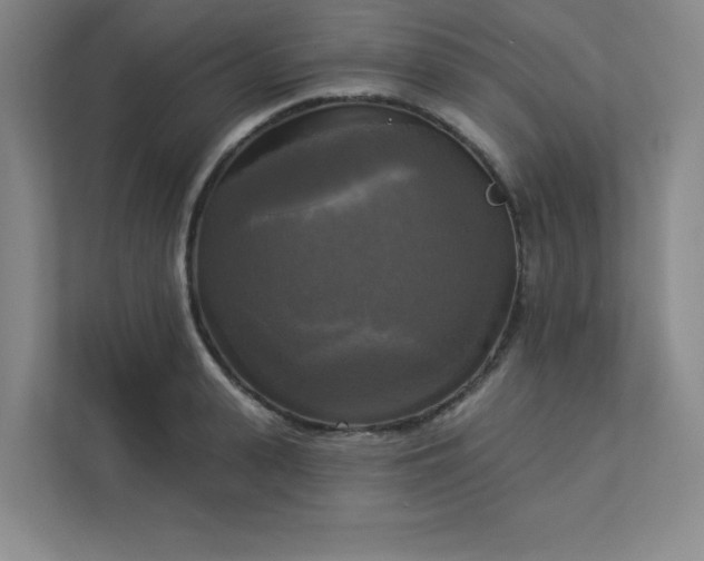 X0000113300943200909281101