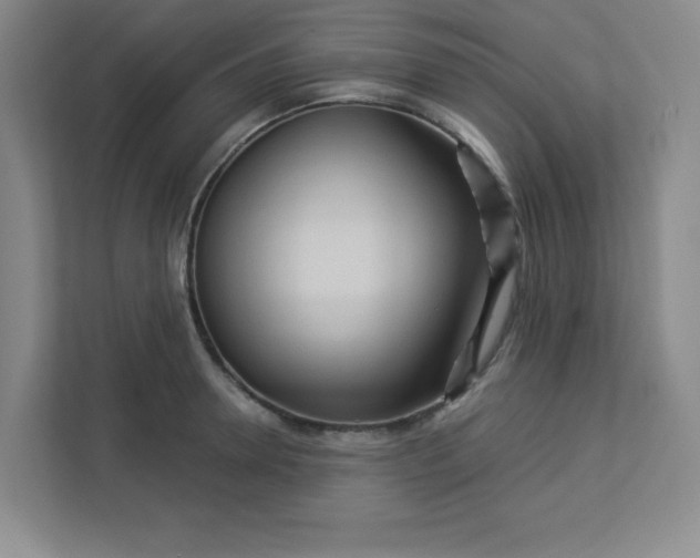 X0000113300946200909281101