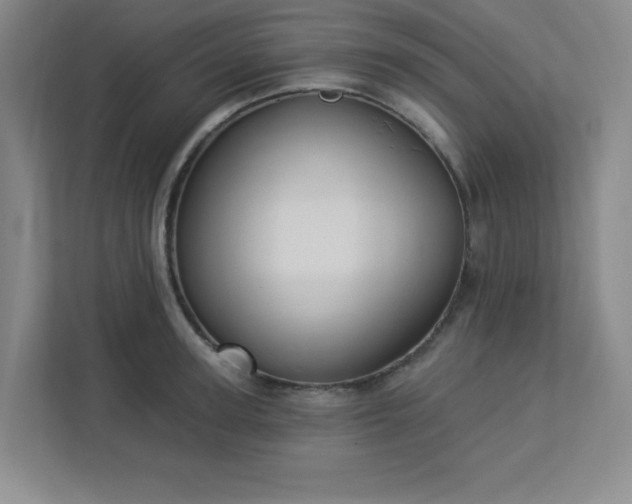 X0000113300947200909281101