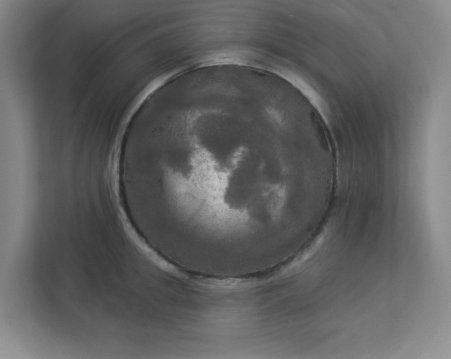 X0000113300949200909281101