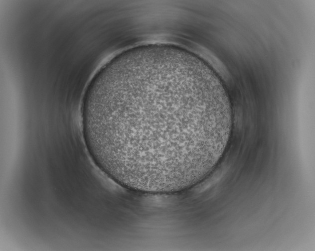 X0000113300950200909281101