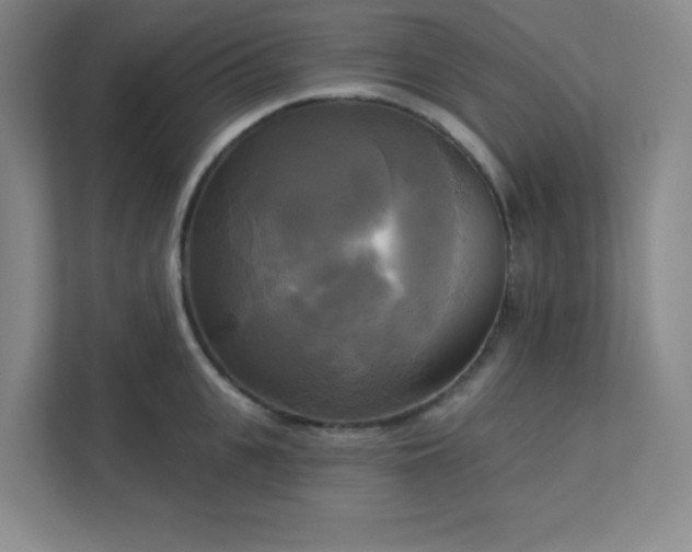 X0000113300951200909281101