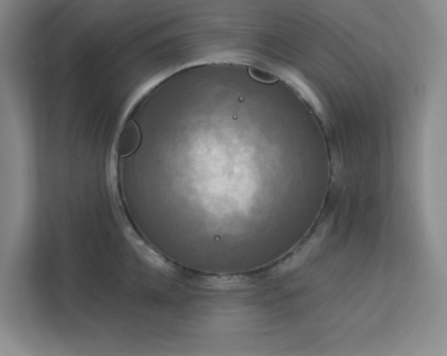 X0000113300952200909281101