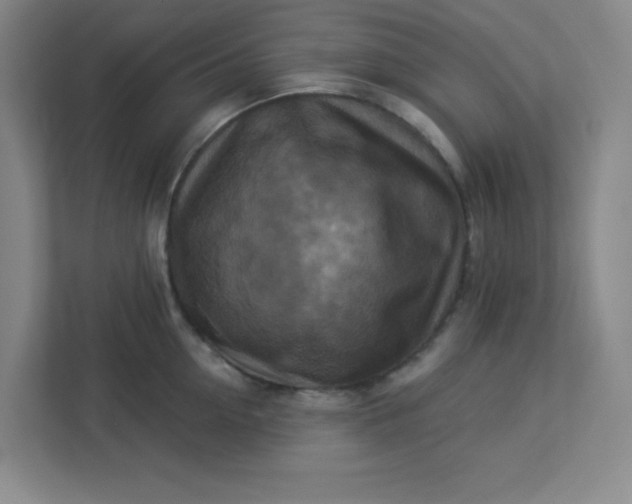 X0000113300954200909281102