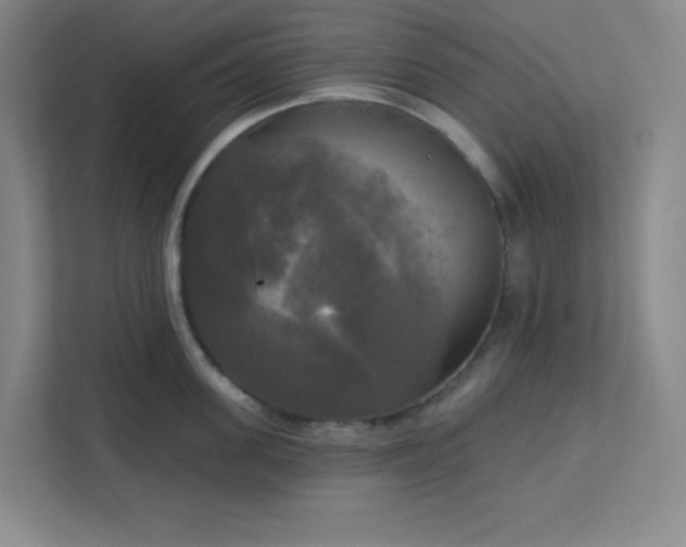 X0000113300955200909281102