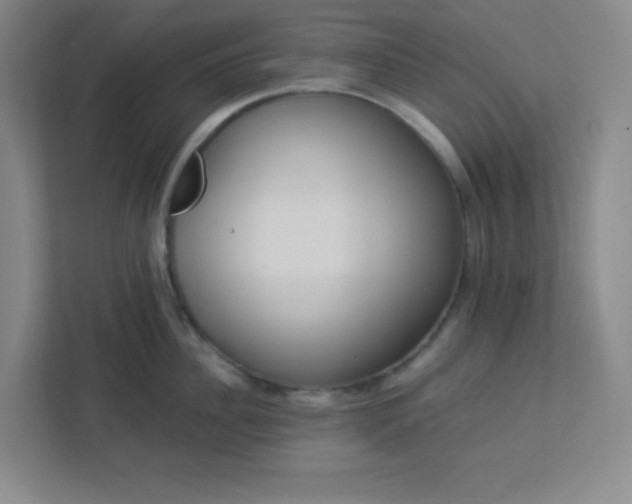 X0000113300956200909281102