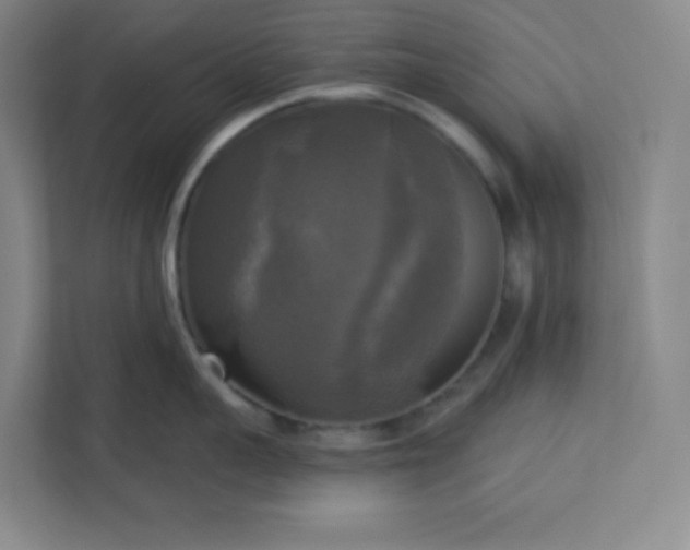 X0000113300959200909281102