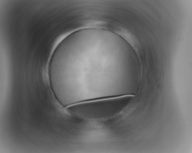 X0000113300960200909281102