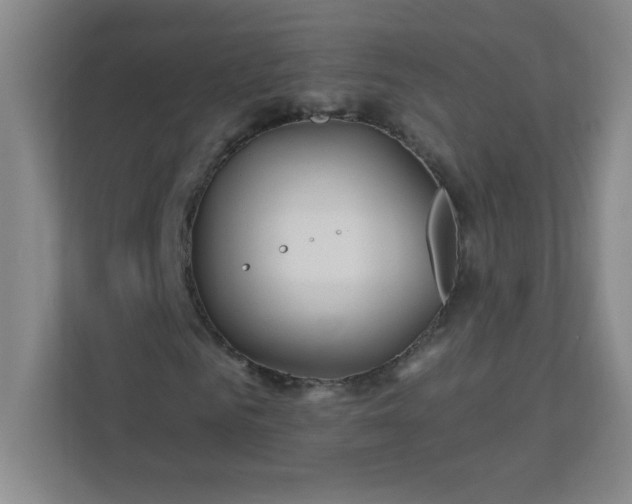 X0000113300961200909281101