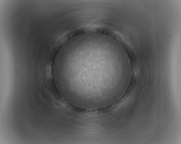 X0000113300964200909281101