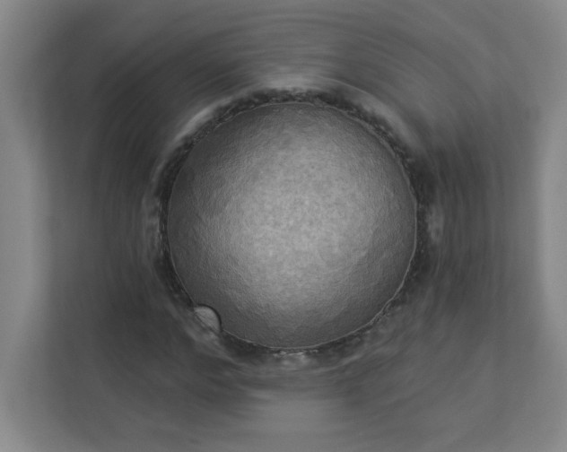 X0000113300968200909281101