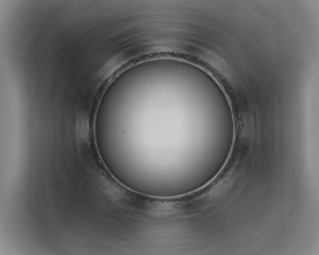 X0000113300969200909281101