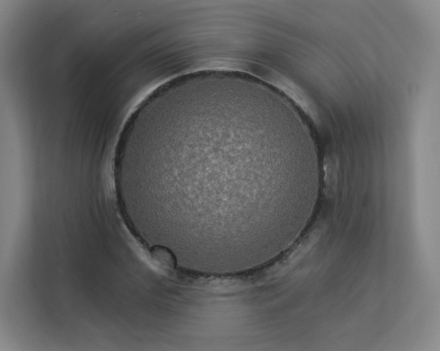 X0000113300972200909281101